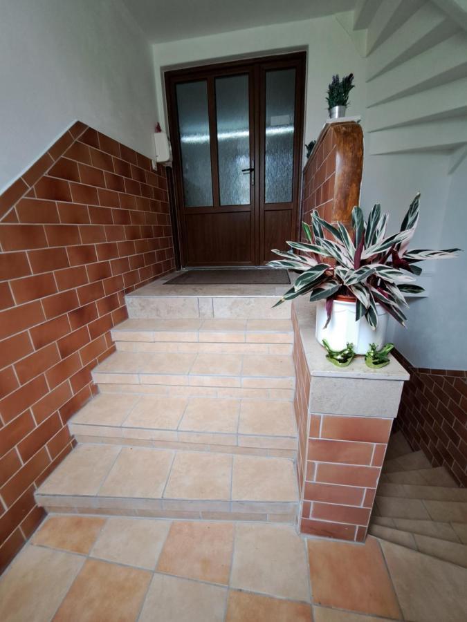 Zimmervermietung Abir Dresde Exterior foto